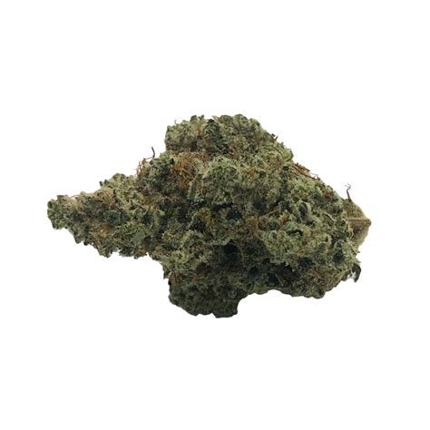 Off White, also known as Offwhite, Off White Og and Offwhite OG , is a slightly indica dominant hybrid strain (60 indica40 sativa) created through crossing the potent Ghost OG X (Ghost OG X Crme Brulee) strains. . White mo strain redemption